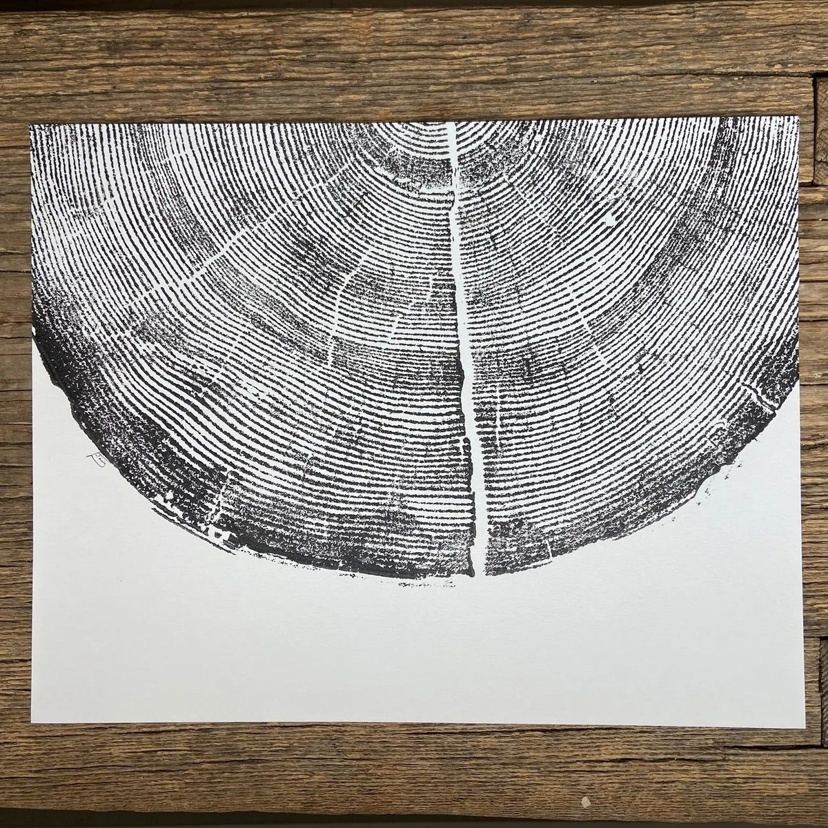 Rock Canyon Pine Limited Edition 11x14 inches