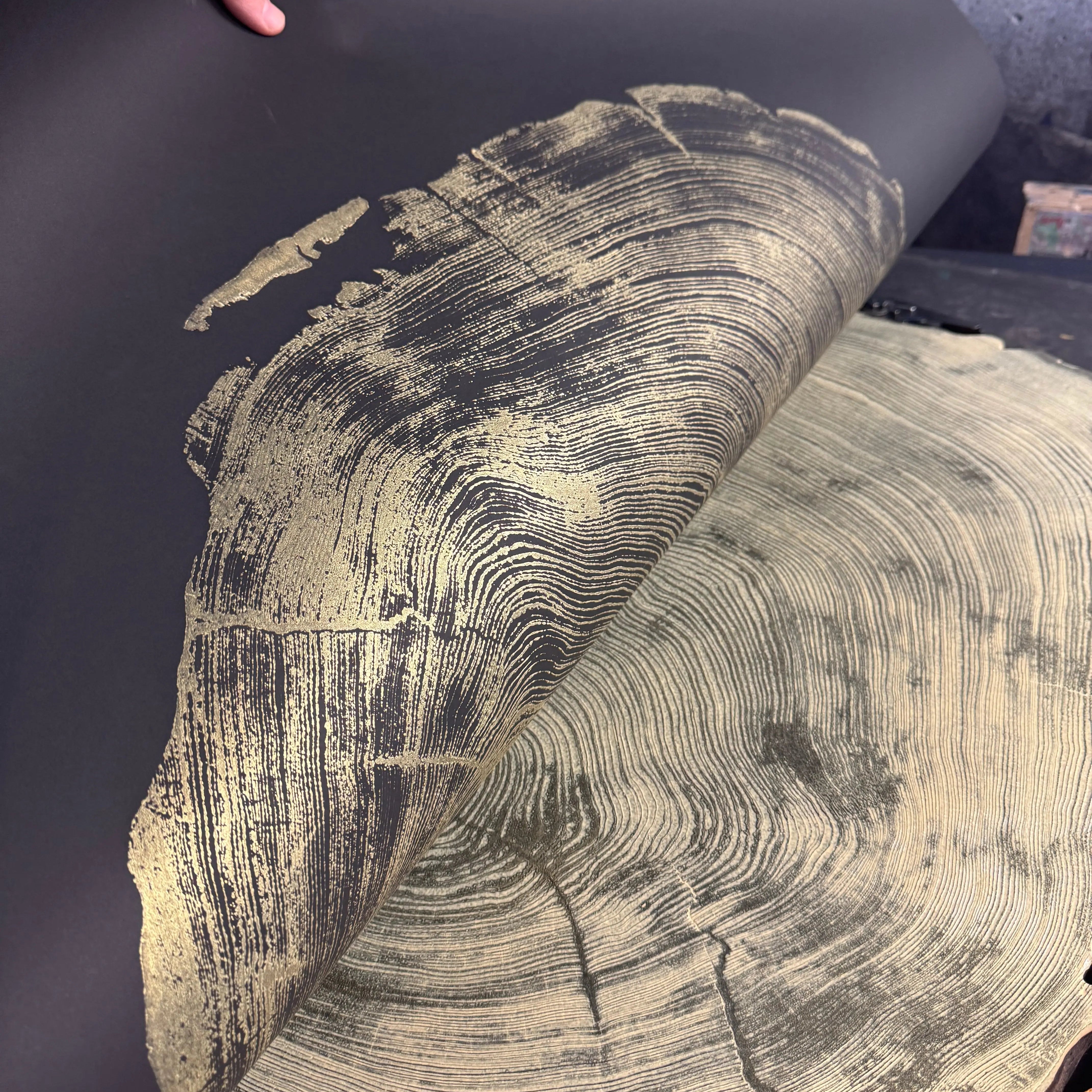 San Francisco Redwood Gold and Black - 36x48 Inches