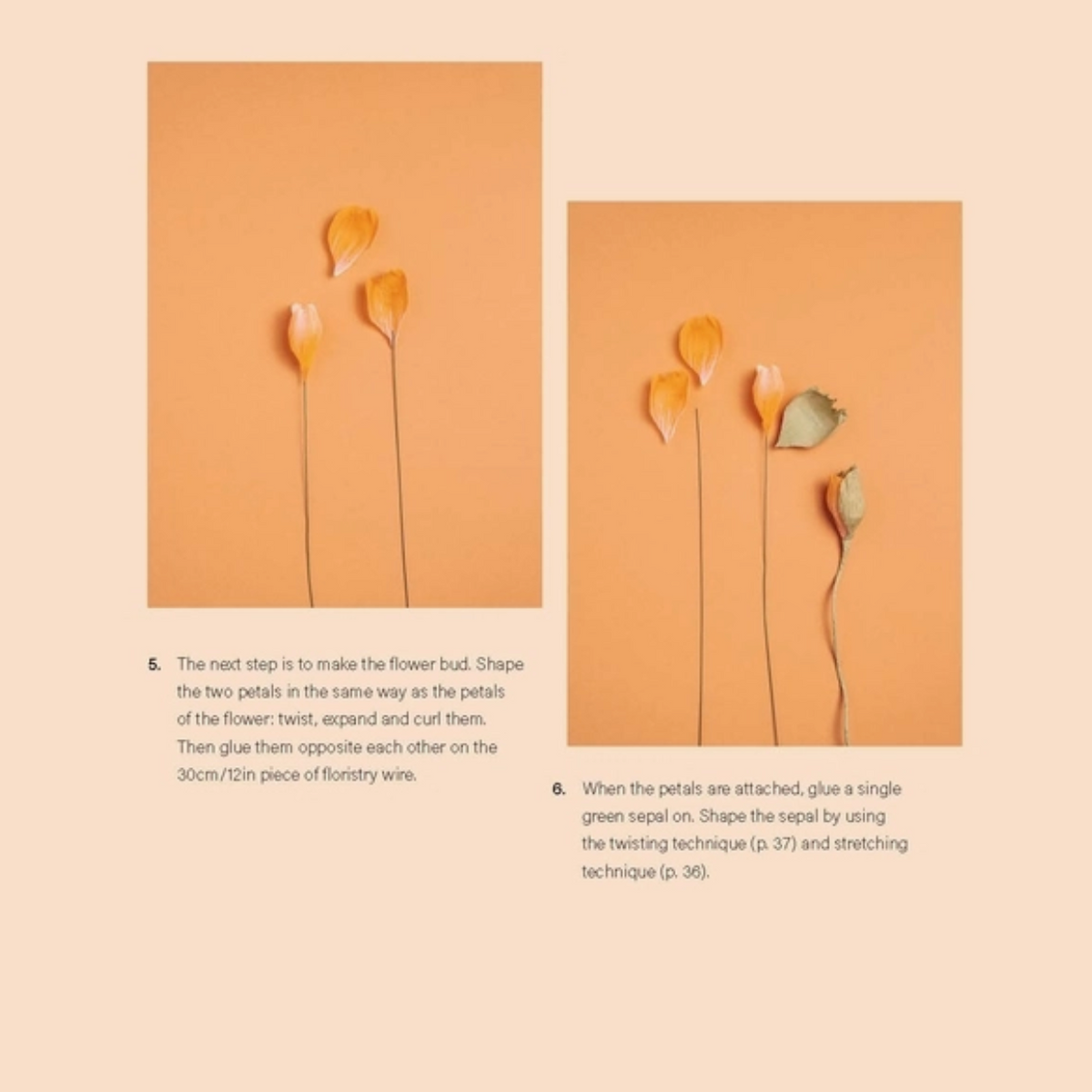 Paper Flowers
