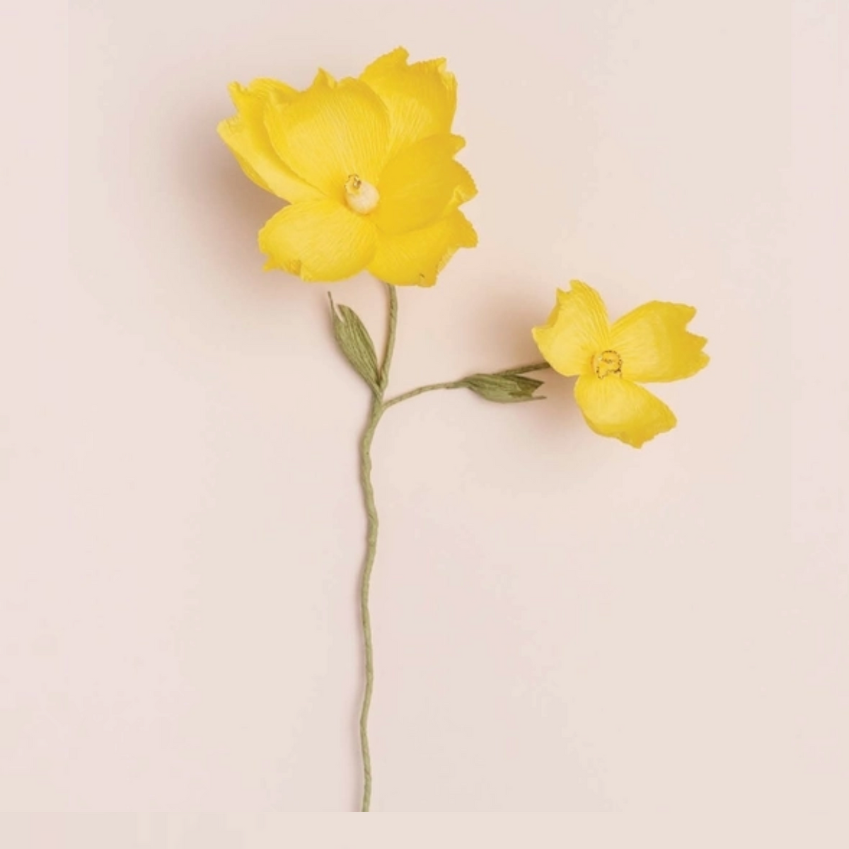 Paper Flowers