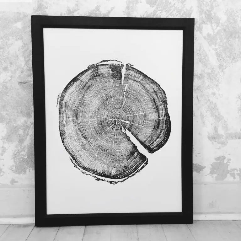 Uinta Mountains, Utah Pine - 18x24 print