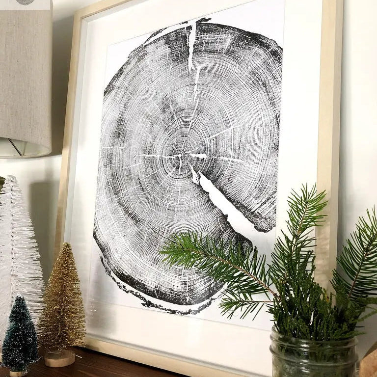 Uinta MoUinta Mountains, Utah Pine - 18x24 printuntains, Utah Pine - 18x24 print