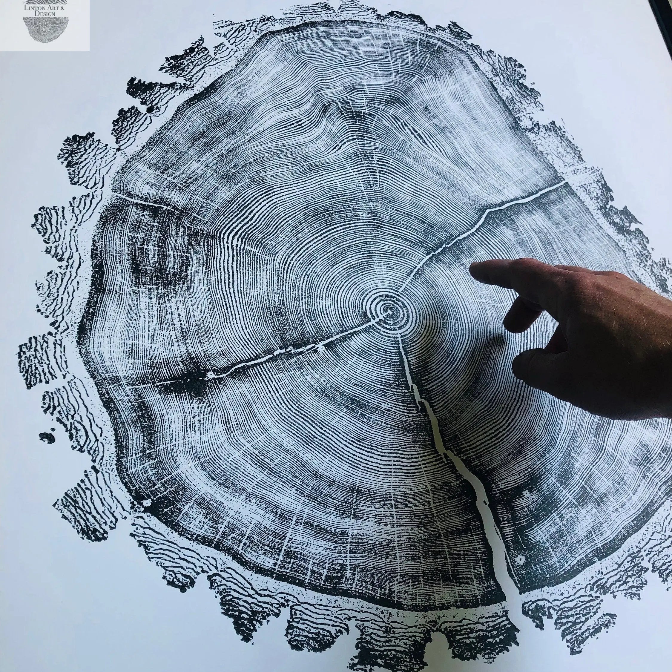 Hand pointing to a detailed cross-section of a tree trunk on a white background