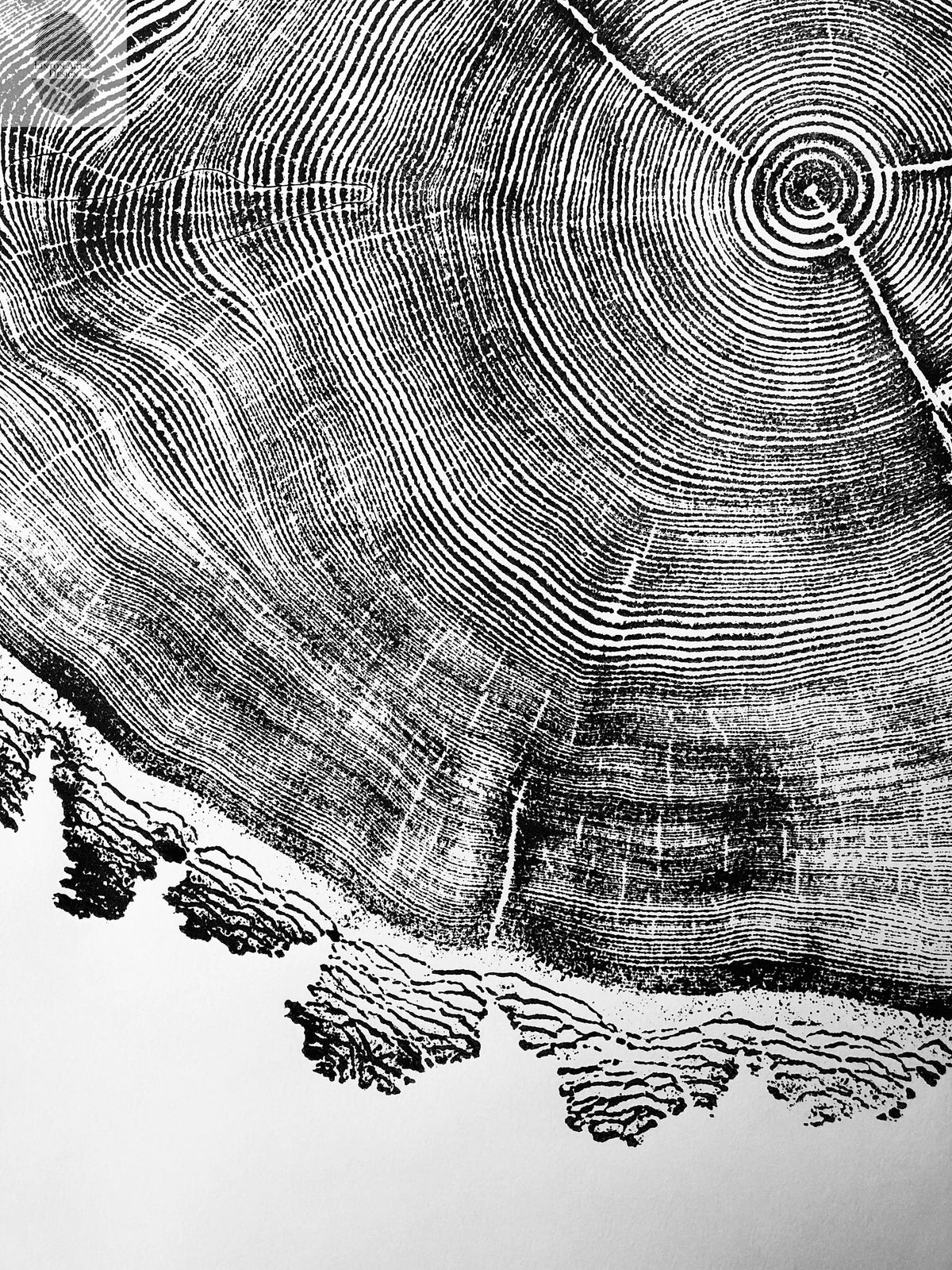 Utah Art, Tree Ring Print, Ski Art, Lumber, Shabby Tree, Wood Slice Wall Art, Natural Wood Slices