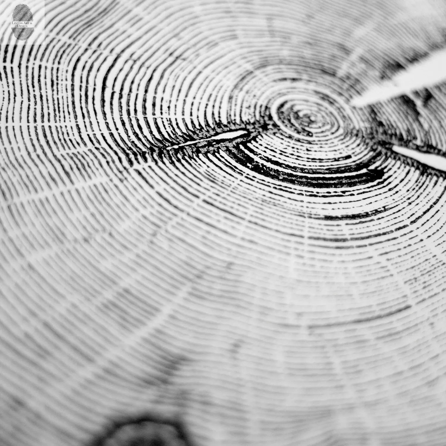 Utah Tree Ring Woodcut print - 18x24