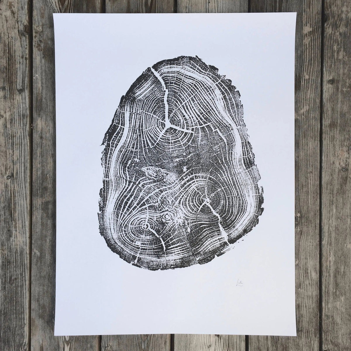 Utah Black Locust I - 18x24 print