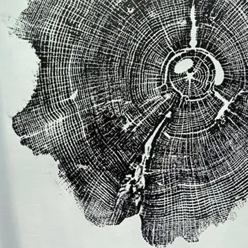 Williamsburg, Virginia Oak - 18x24 inch print