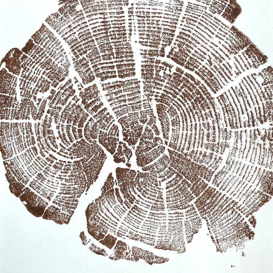 Yellowstone Tree Ring Print in Brown Ink 11x14 inches - Hand Pressed Woodblock