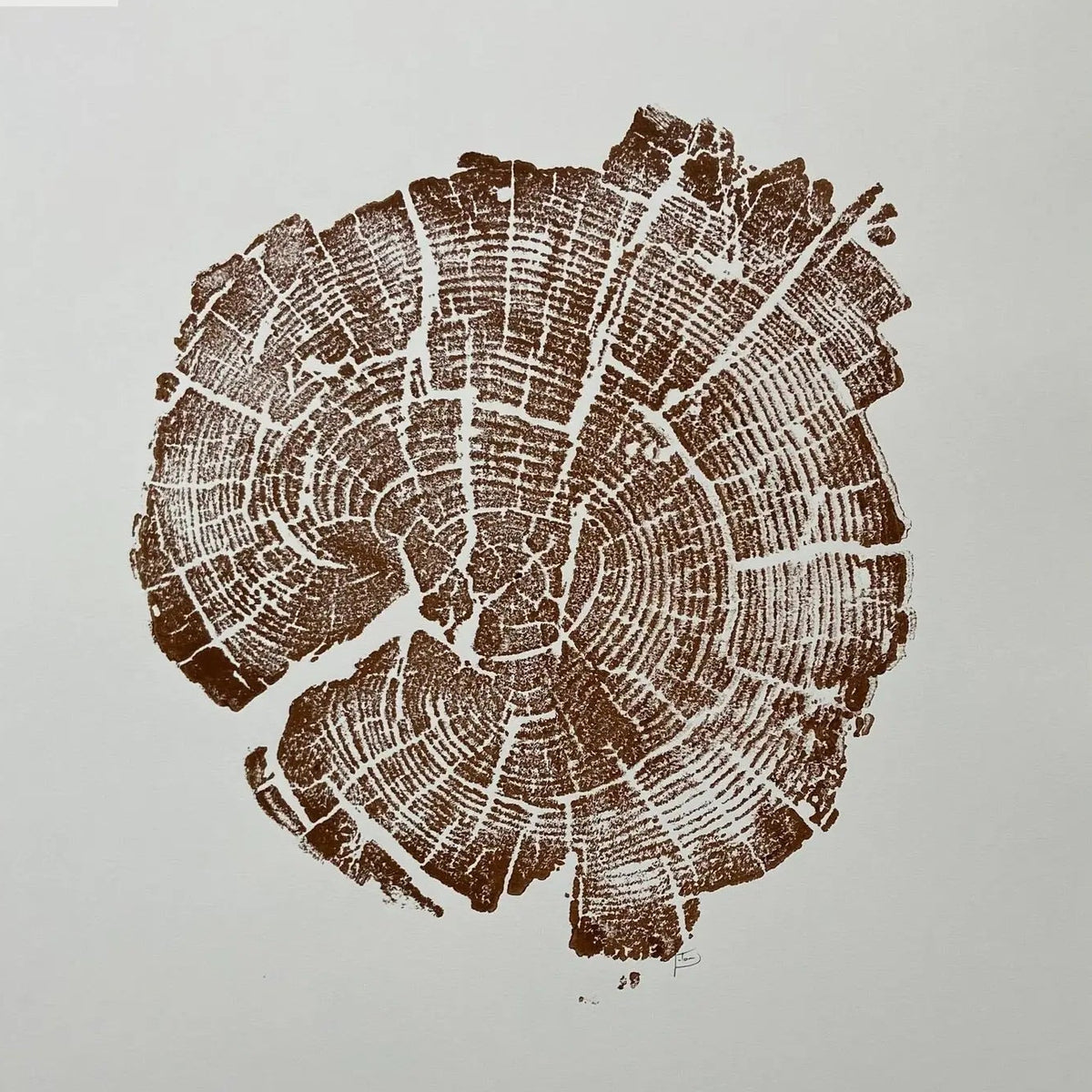 Yellowstone Tree Ring Print in Brown Ink 11x14 inches - Hand Pressed Woodblock