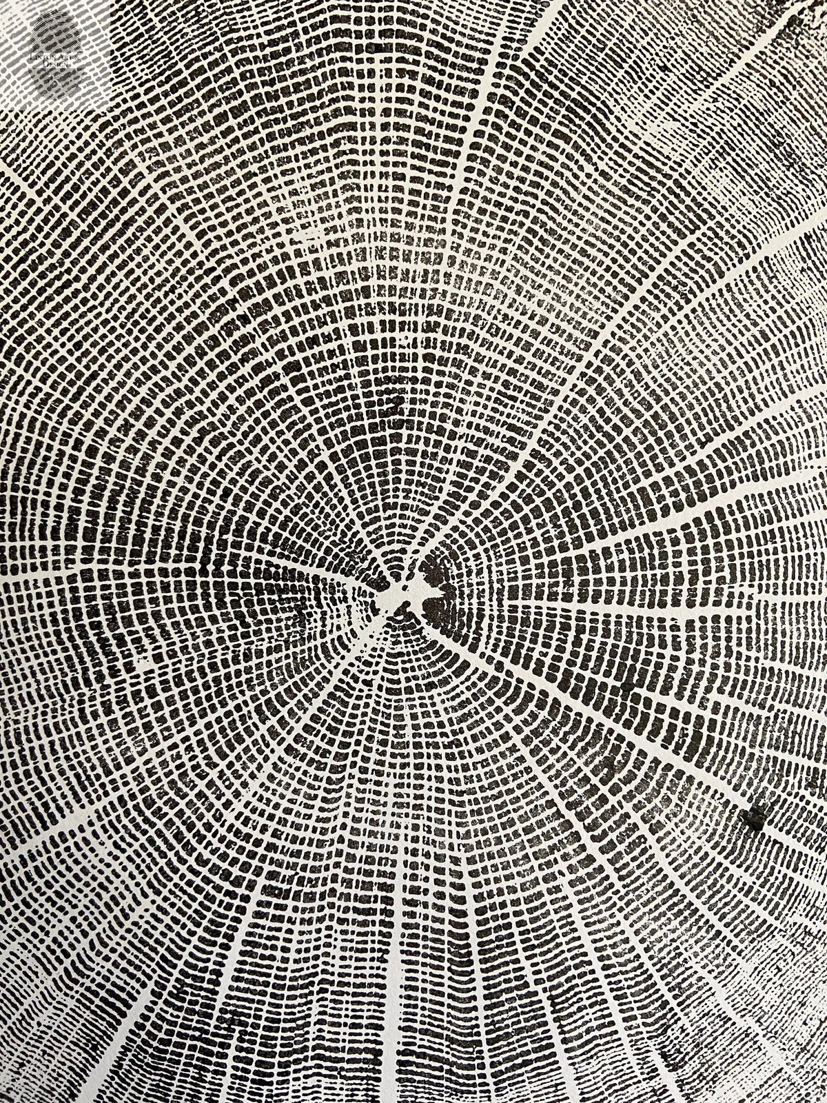 York, Maine Oak - 18x24 print
