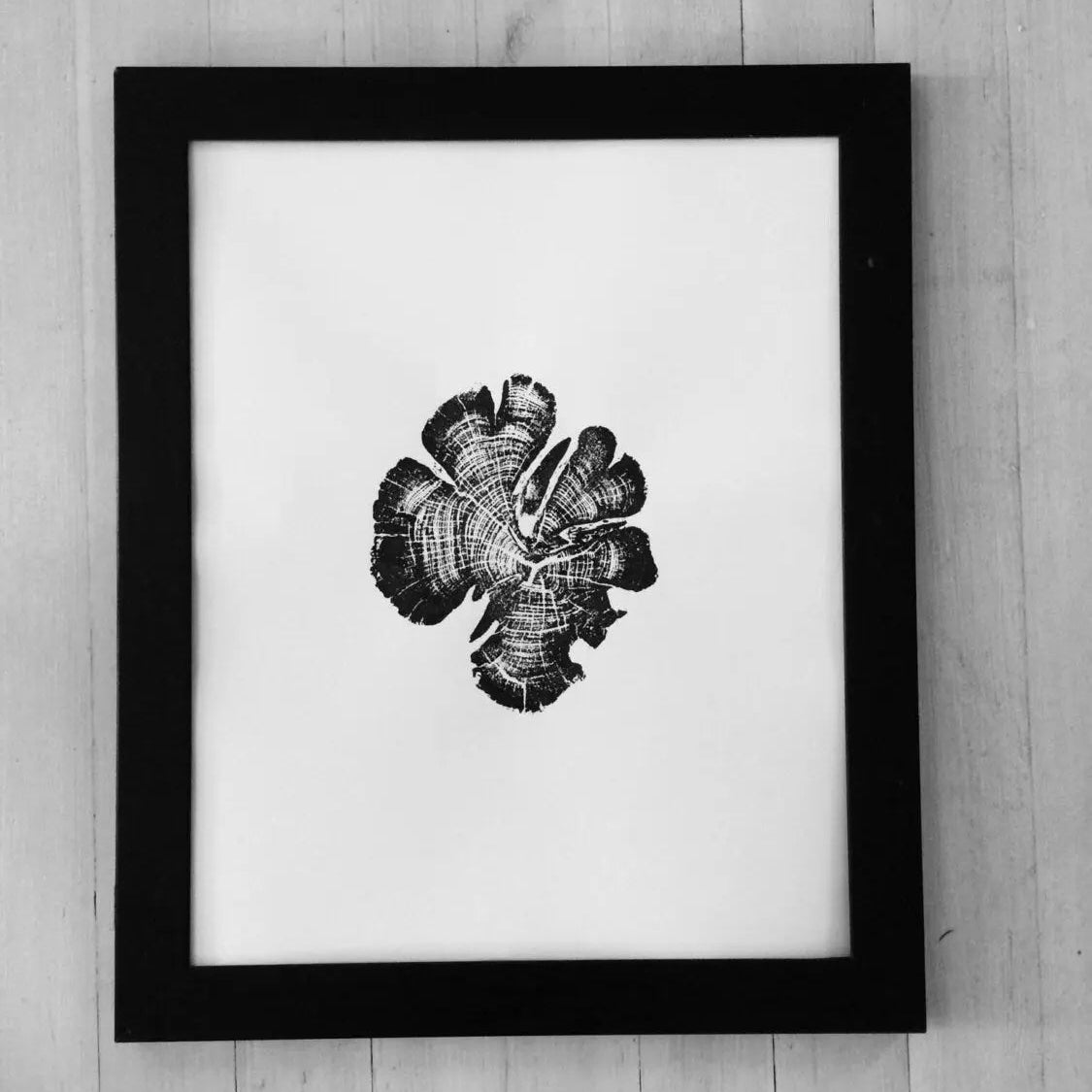 Zion National Park Cedar - 18x24 print