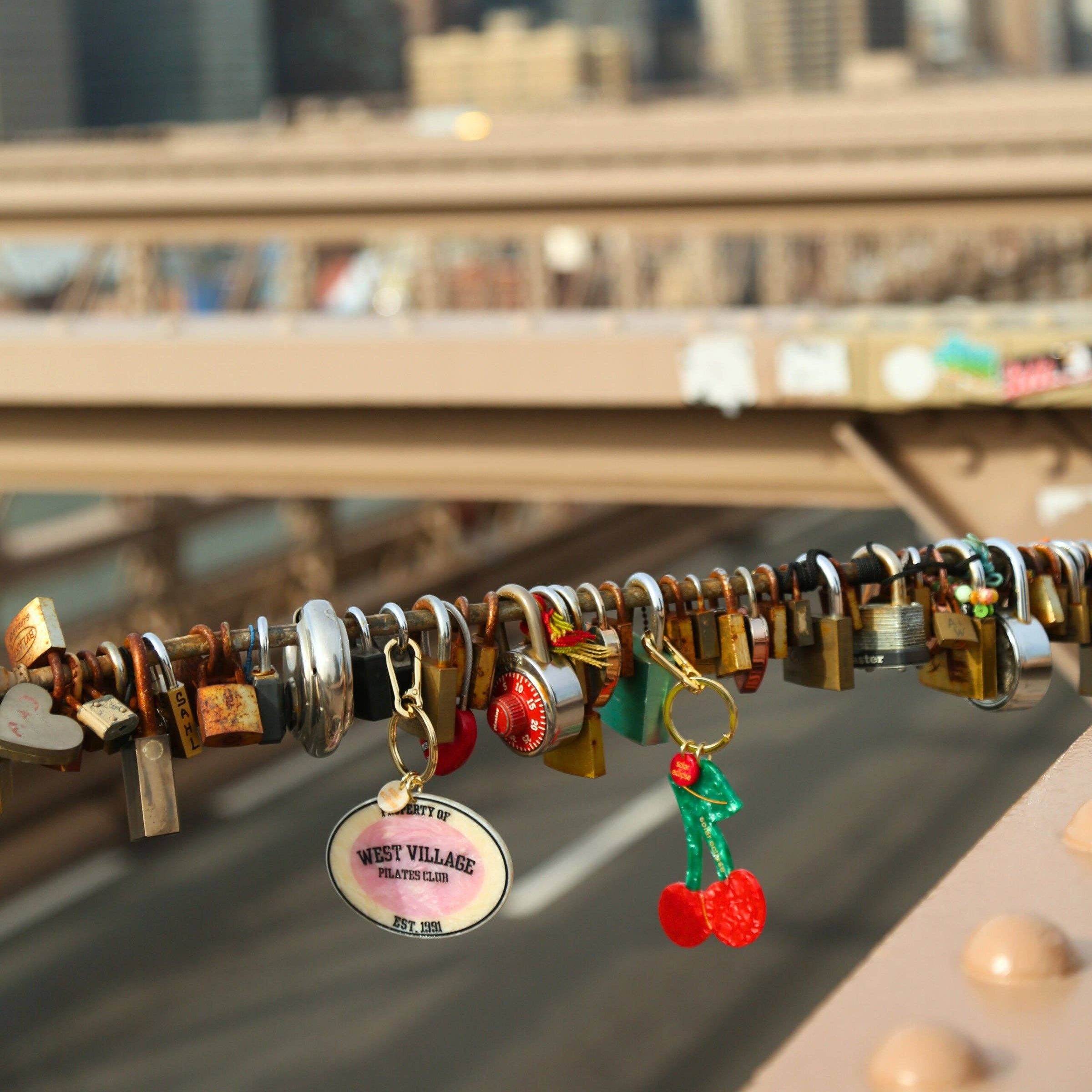 Decorative padlocks with charms on a bridge with a city skyline in the background