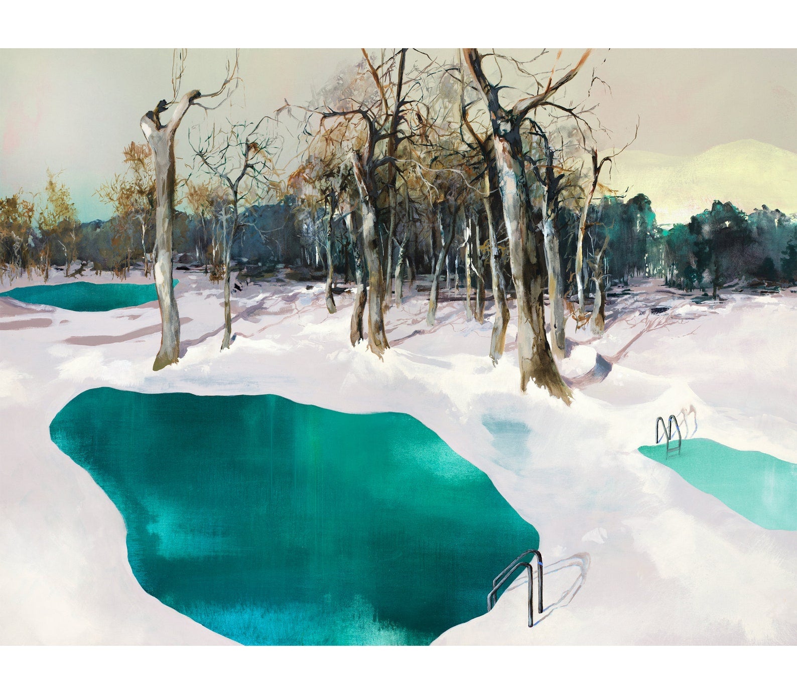 serene pools against snow and ghostly dead trees. 
