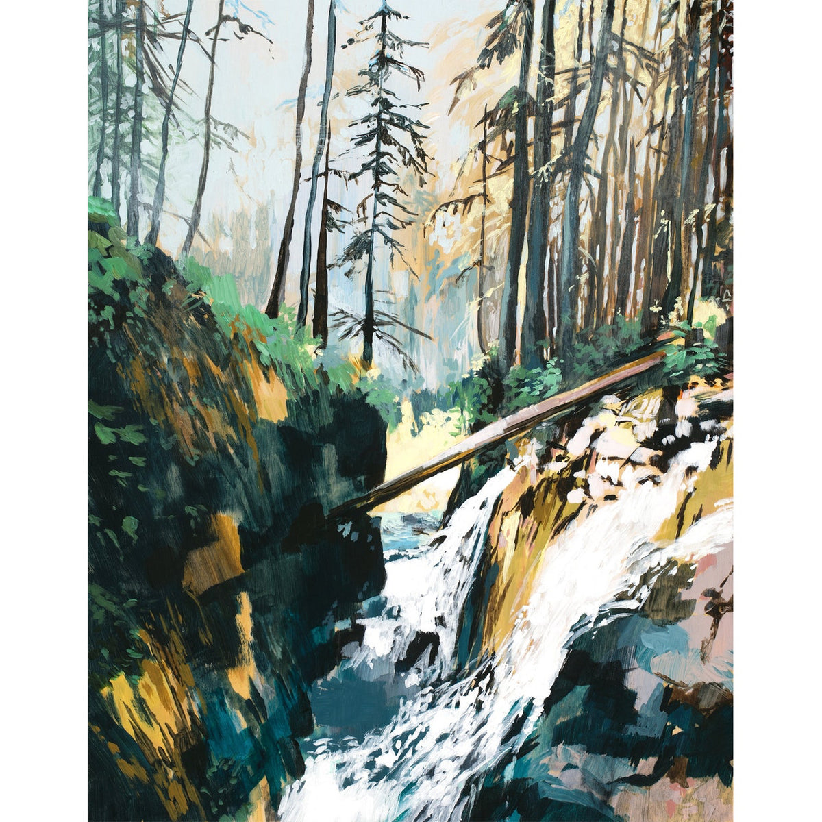 a forest scene with a small river flowing through the vegetation and rock.