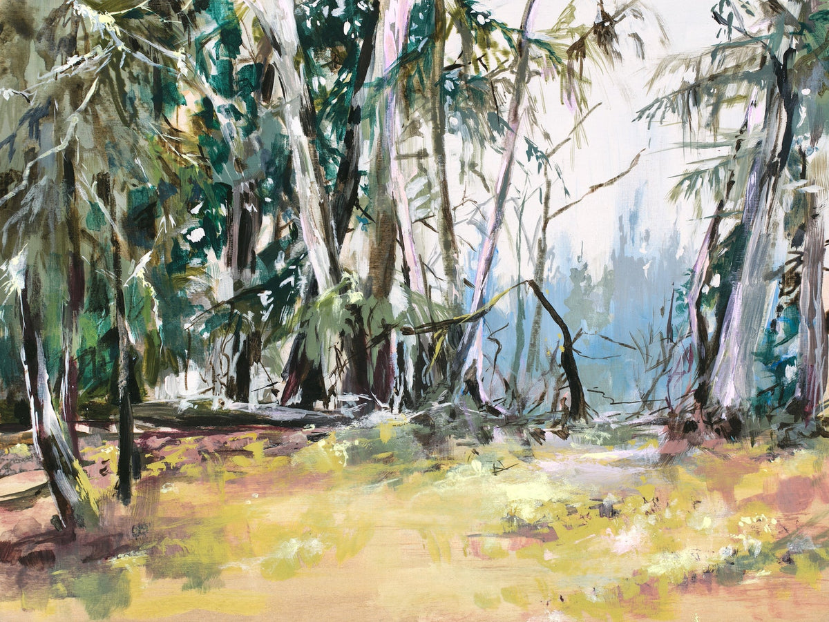 forest scene with scraggly trees and warm green shrubby grass. 