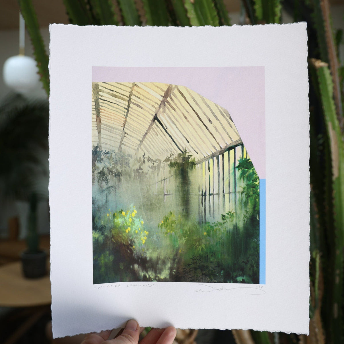 print held against cacti. 
