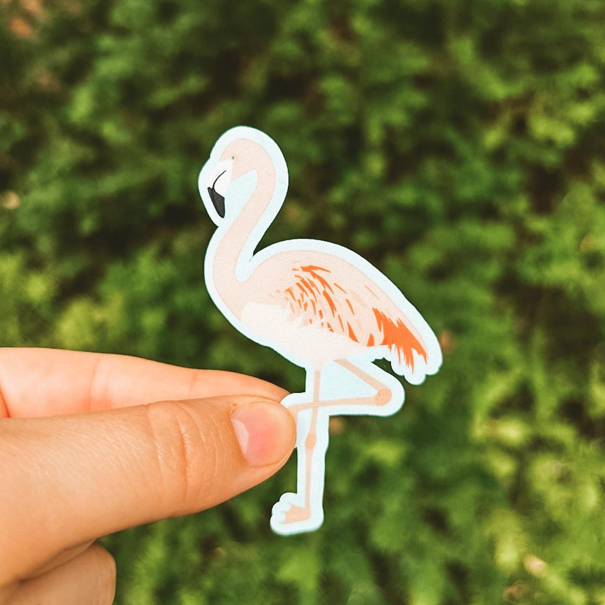 vibrant flamingo sticker with baby blue outline
Width: 1.8 inches
Height: 3 inches