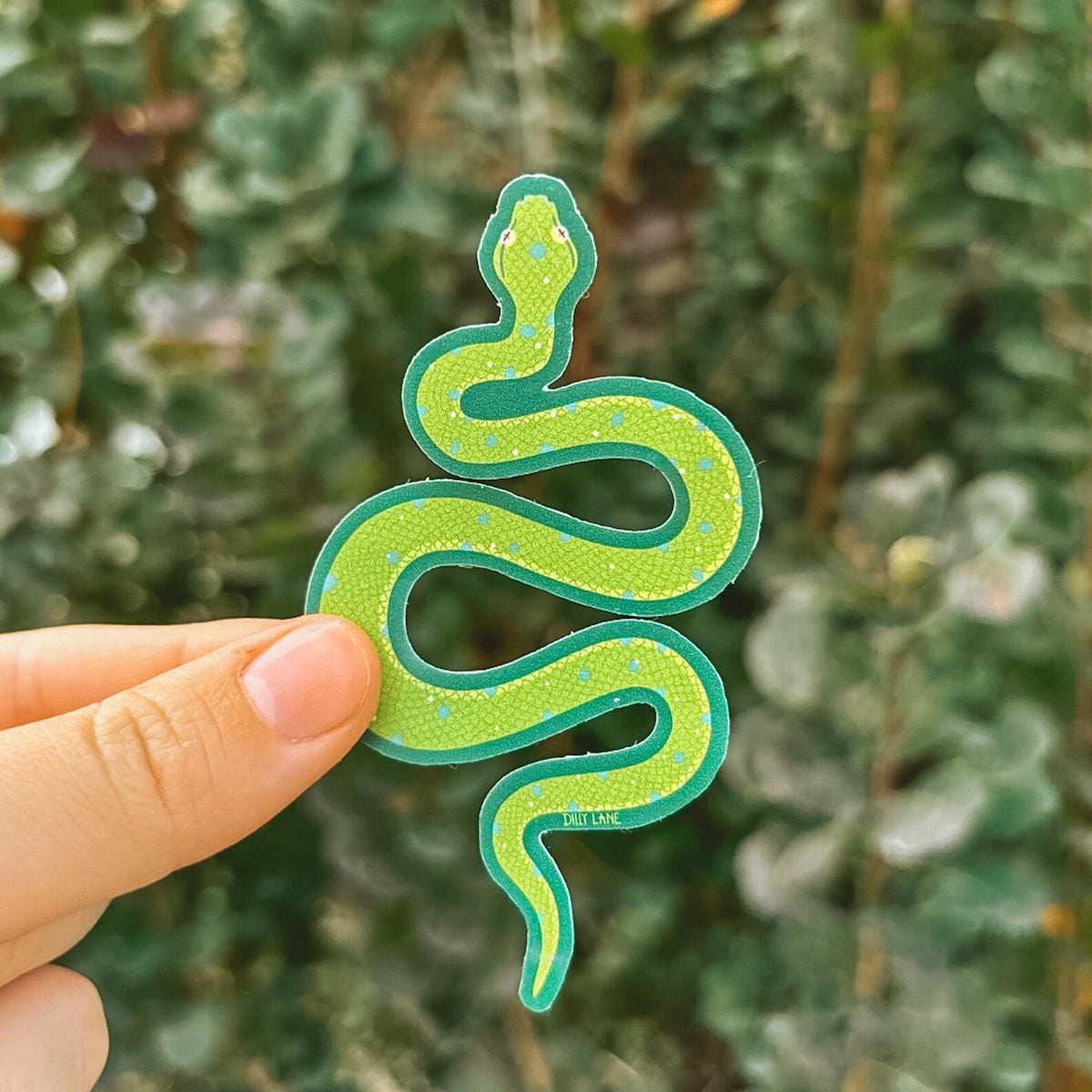 snake sticker with green outline
Width: 2 inches
Height: 3.5 inches