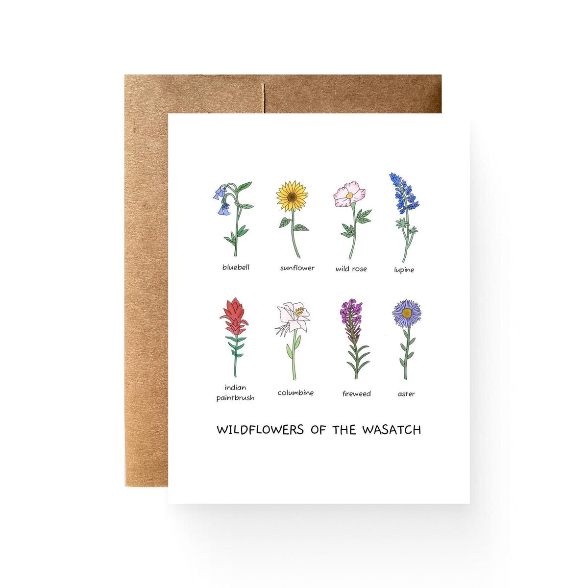 white card with 8 wildflowers of the Wasatch reading "wildflowers of the Wasatch"