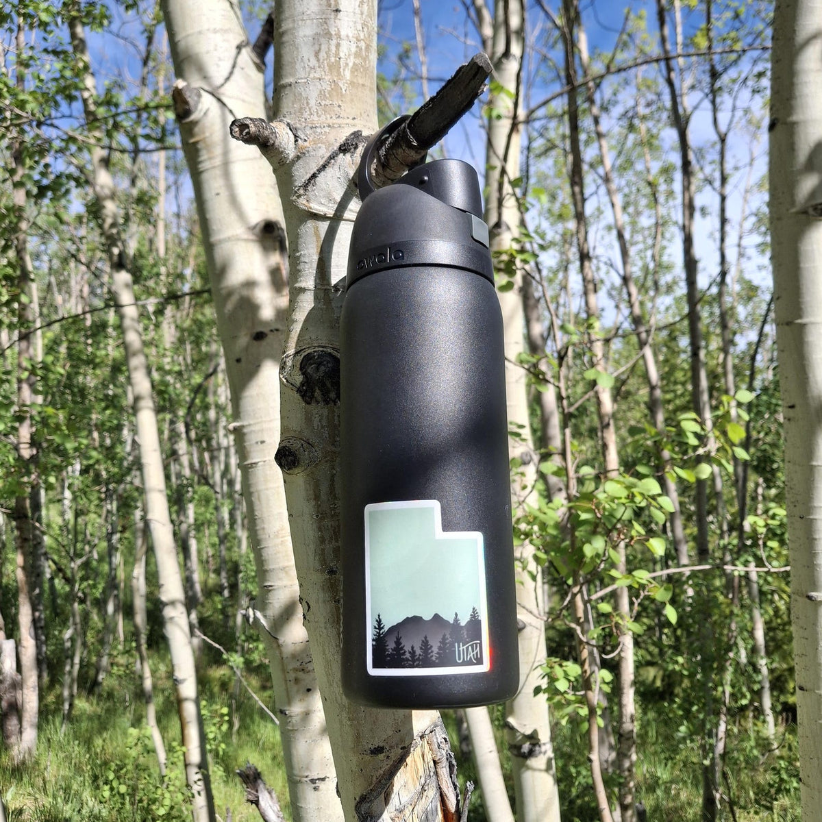 Utah Wasatch Mountain Sticker