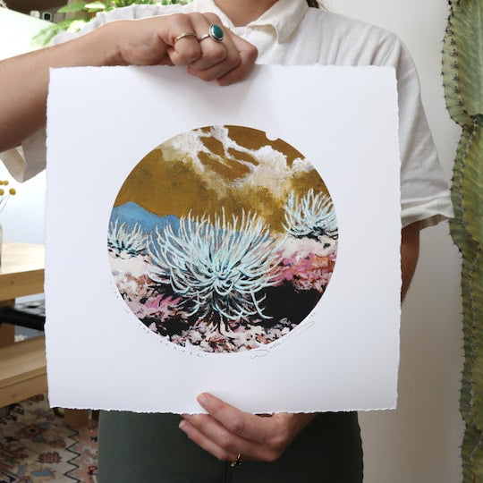 Print held by a woman with a cactus in background. 